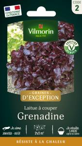Laitue Grenadine - Graines d'Exception